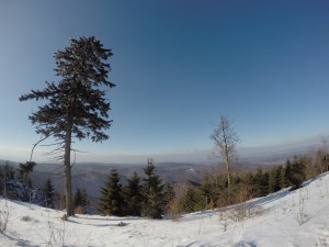 DCIM100GOPROGOPR0253.