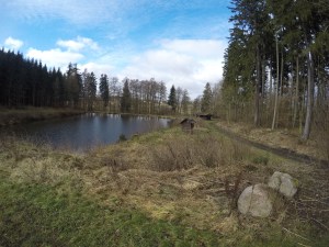 DCIM100GOPROGOPR0853.