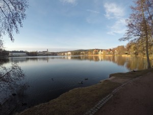 DCIM101GOPROGOPR1239.