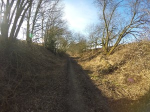 DCIM101GOPROGOPR1279.