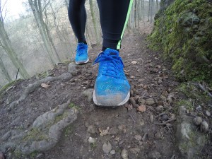 DCIM101GOPROGOPR1311.