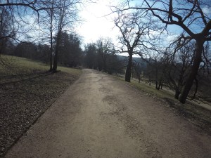 DCIM101GOPROGOPR1316.