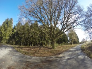 DCIM101GOPROGOPR1385.