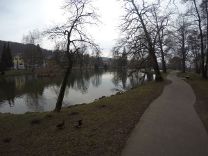 DCIM101GOPROGOPR1938.