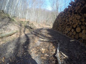 DCIM101GOPROGOPR1966.