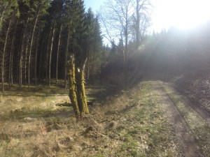 DCIM101GOPROGOPR2015.