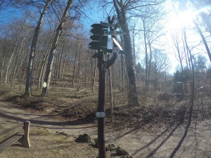 DCIM102GOPROGOPR2386.