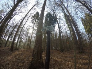 DCIM102GOPROGOPR2421.