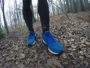 DCIM102GOPROGOPR2423.