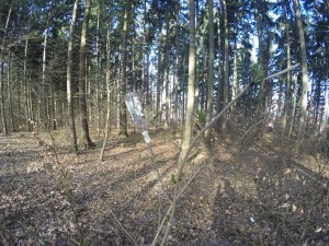 DCIM102GOPROGOPR2424.