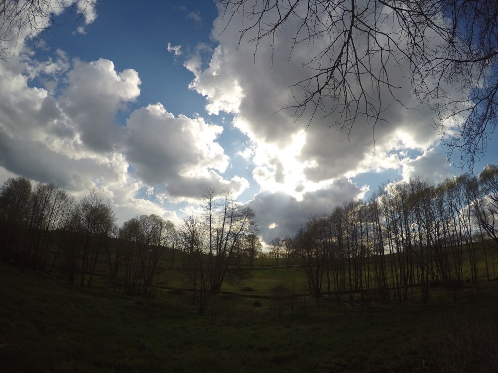 DCIM101GOPROGOPR5380.