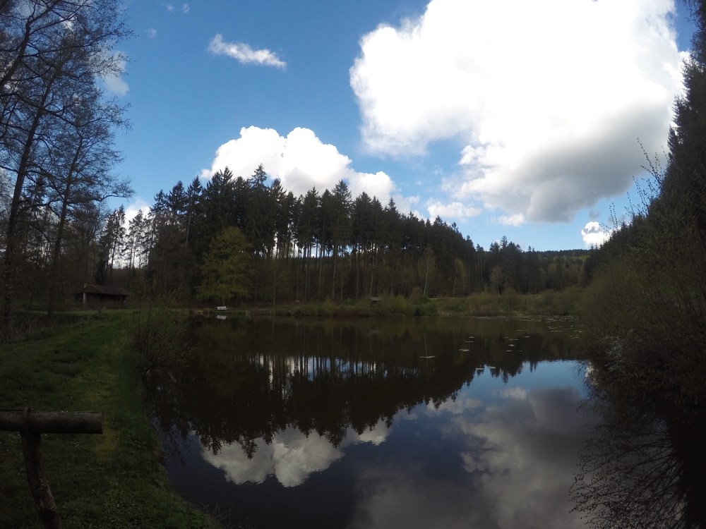 DCIM101GOPROGOPR5344.